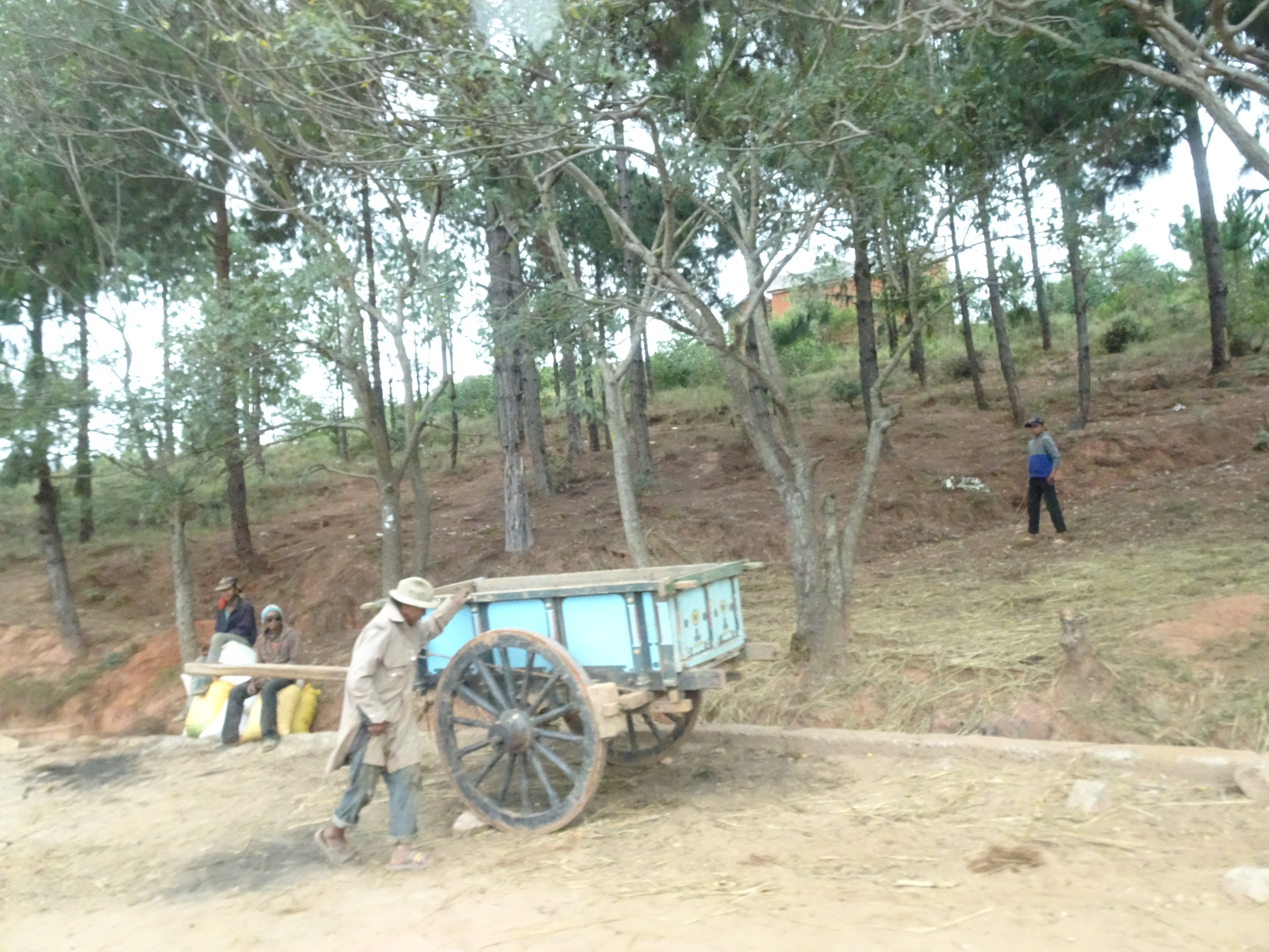 Normalmente gli abitanti del Madagascar non possono permettersi alcun mezzo di trasporto, pertanto i prodotti agricoli o le merci vengono trainate a mano (Madagascar, 2018)