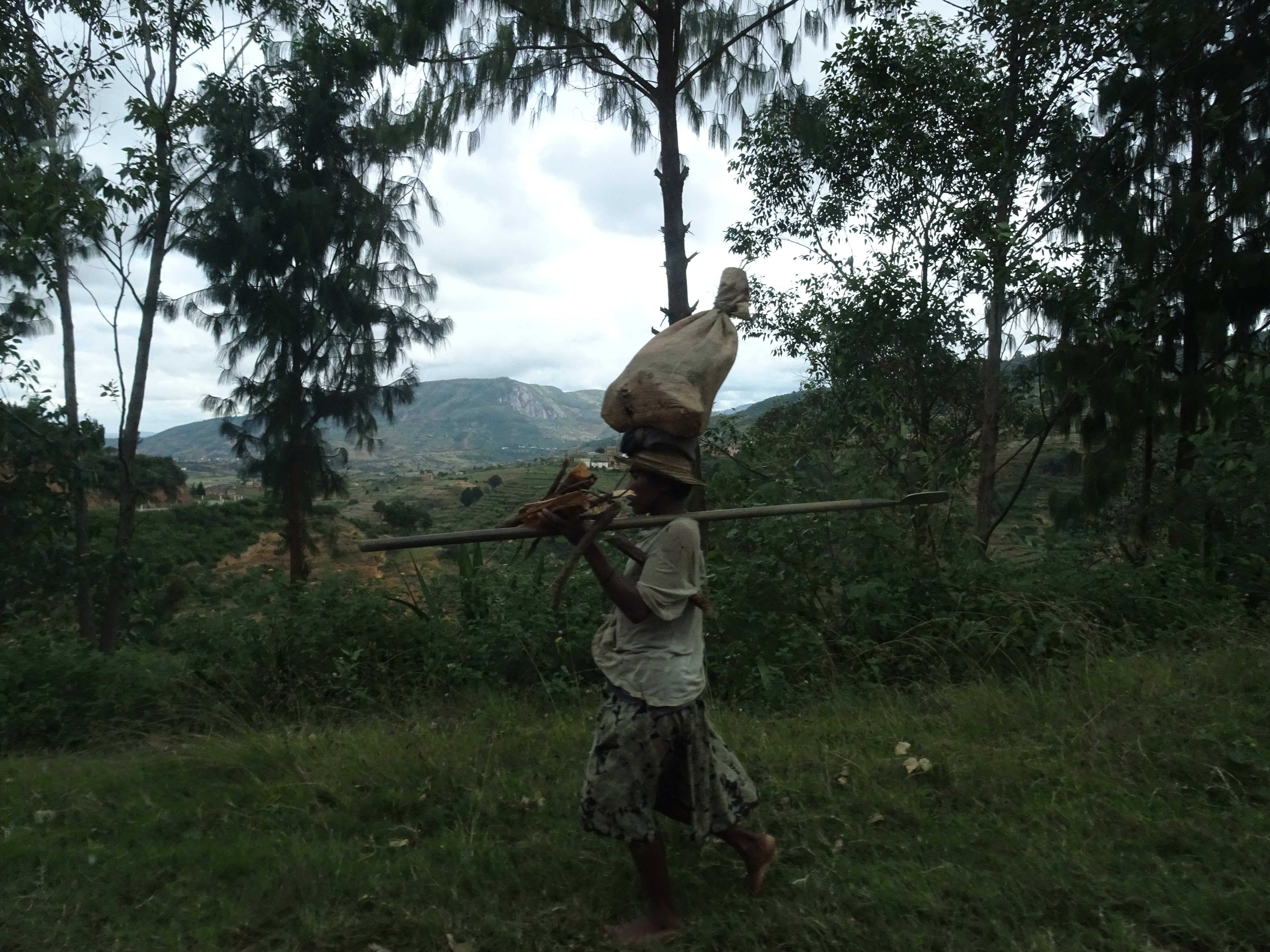 Le difficili condizioni di vita costringono spesso gli abitanti del Madagascar a dover trasportare carichi per molti chilometri per poter lavorare, anche quando si tratta di donne incinte (Madagascar, 2018).